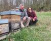Le Jura de ferme en ferme. Avec Flavien et Nina, découvrez le monde fascinant des abeilles