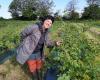 Indre-et-Loire : elle élabore ses cosmétiques grâce aux plantes qu’elle cultive