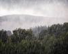 nappes phréatiques au plus haut en raison de fortes pluies – Angers Info