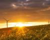 Augmentation de 50 % de la capacité éolienne totale installée dans le monde d’ici 2023 (RAPPORT)