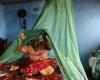 199 décès dus au paludisme en 2023