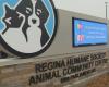 La Regina Humane Society envoie un appel urgent pour adopter des chiens