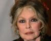 « dévastée par le chagrin », Brigitte Bardot annonce une bien triste nouvelle