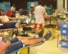 Vayrac. Le syndicat départemental des donneurs de sang en assemblée générale