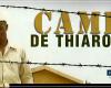 « Camp de Thiaroye » sélectionné dans la sélection « Classiques de Cannes » – Agence de presse sénégalaise