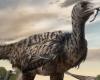 Traces d’un vélociraptor XXL, le plus grand de tous, découvertes par des chercheurs en Chine