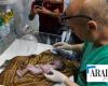 Un bébé palestinien sauvé du ventre de sa mère mourante décède
