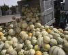 25 tonnes de haschisch dans un camion de melons du Maroc vers la France