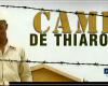 « Camp de Thiaroye » sélectionné dans la sélection « Classiques cannois »