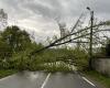 routes bloquées et coupures d’électricité en raison de nombreuses chutes d’arbres en Haute-Vienne