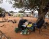 En Tunisie, les migrants survivent dans les champs d’oliviers tout en lorgnant vers l’Europe