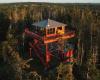 Une cabane dans les arbres avec jacuzzi à 30 pieds dans les airs en Nouvelle-Écosse
