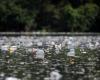 Le monde est aux prises avec la pollution plastique – le Canada ne fait pas exception