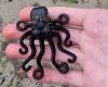 Une pieuvre noire, un morceau de Lego extrêmement rare tombé d’un navire il y a 27 ans, retrouvé par un adolescent en Angleterre