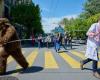 Des manifestants ont défilé contre les tests sur les animaux dans les rues de Fribourg