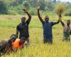 (Multimédia) La Côte d’Ivoire et le Maroc prônent des pratiques durables pour une agriculture résiliente – Xinhua