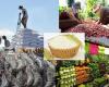 Les produits agricoles vietnamiens entrent sur le marché sud-coréen