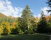 Lestang – Une année chargée pour l’Association des forestiers des collines de la Drôme – .