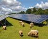 De plus en plus de communes s’élèvent contre les panneaux photovoltaïques