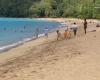 Plages de Guadeloupe et de Saint-Martin parmi les plus belles plages des Caraïbes selon une célèbre plateforme de voyage