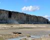 images rares de l’effondrement d’une falaise filmées par un touriste en Normandie