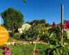 Mercredi, j’ai de la verrerie ! Jardins de La Verrerie Arles mercredi 15 mai 2024 – .