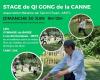 Stage QI GONG : Cours, atelier à Metz