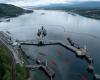 Les contraintes portuaires liées au pipeline Trans Mountain risquent d’entraver les exportations de pétrole