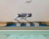 Un robot de l’EPFL révèle pourquoi les animaux changent d’apparence