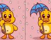 Saurez-vous trouver les 3 différences entre les images d’un canard avec un parapluie en 13 secondes ? – .
