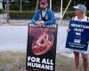 La Floride restreint considérablement le droit à l’avortement, sur fond de campagne électorale