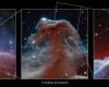Le télescope spatial James Webb capture les meilleures images de la nébuleuse de la Tête de Cheval