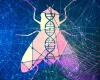 Les cancers peuvent être induits sans mutations de l’ADN