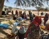 Une action urgente est nécessaire pour éviter la famine au Darfour au milieu des troubles