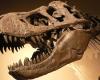 T. rex n’était pas la créature intelligente représentée dans les films, selon une nouvelle étude