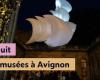 Nuit européenne des musées – 18 mai 2024 – Hôtel de ville d’Avignon