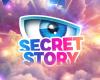 Secret Story et son « After » du vendredi passent enfin de TF1+ à TFX