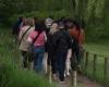 dans l’Eure, le village de Giverny regorge de touristes malgré la pluie