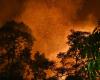 Trois morts dans des incendies de forêt qui ravagent le Népal