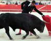 le gouvernement espagnol supprime le « prix national de la tauromachie »
