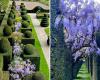 A quelques heures de Paris, ces jardins presque irréels ont remporté le « Prix européen du jardin » en 2018 – Paris ZigZag