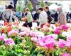 près de 10 000 visiteurs attendus pour ce 22ème marché aux fleurs