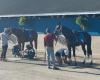 Les « travailleurs de l’arrière-plan » du Kentucky s’occupent des chevaux valant des millions de dollars sur le circuit des courses. Cette clinique s’occupe d’eux. – .