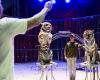 Le Cirque de Venise revient à Carcassonne avec des numéros pleins de poésie dans la plus pure tradition
