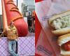 Math Duff distribue des hot-dogs gratuits pour la journée « steamé » québécoise