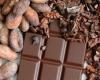 Cacao : pourquoi les prix baissent