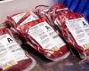 Changer de groupe sanguin pour compenser un manque de sang ? Cela pourrait être possible selon ces étudiants québécois