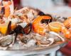le homard et les crevettes sont les fruits de mer les plus contaminés selon une étude