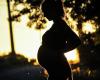 l’exposition pendant la grossesse a un impact sur le développement du fœtus