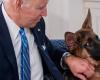 La Maison Blanche répond à Kristi Noem pour avoir déclaré que le chien de Joe Biden devrait être abattu